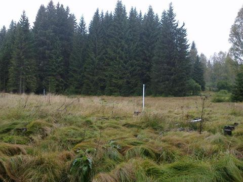 Foto 239